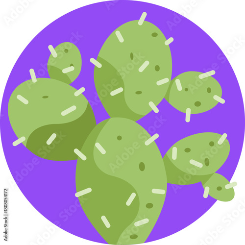 Desert Fruit Symbol – Represents the iconic prickly pear cactus commonly found in Moroccan landscapes