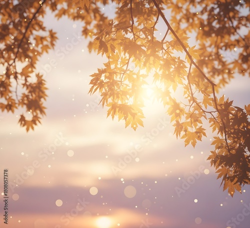 Autumn Leaves with Warm Sunlight Glow