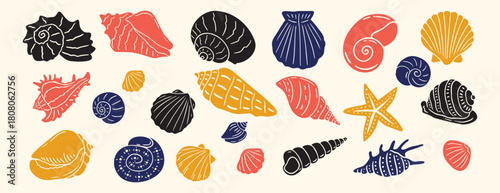 Sea shell, sink cartoon set. seashell aquatic mollusk doodle hand drawn icon set. Outline drawing line clipart symbol collection