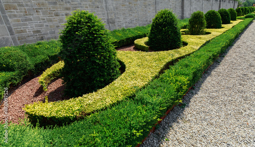 beautiful view of a decorative natural garden trees, grass, bushes beside the grey concrete fence