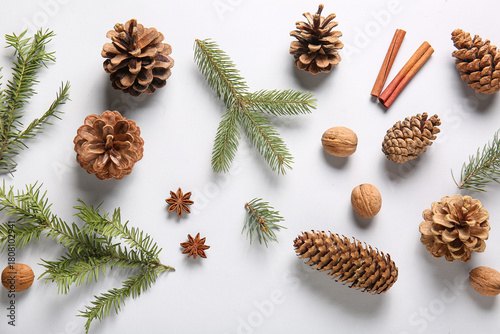 Pine cones with fir branche...
