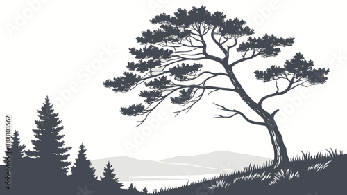 Silhouette of a windswept tree on a hillside with distant mountains and a forest on the left side