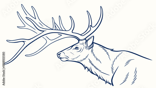 Illustration of a majestic elk with large antlers in a detailed line drawing style artwork design