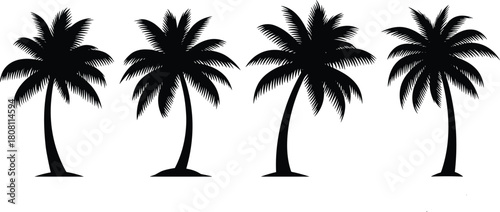 Palm tree silhouettes, tropical tree icons, beach foliage graphics, summer nature elements, exotic landscape shapes, cad drawing flat vector illustration