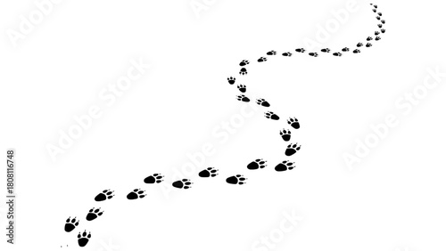 Vector illustration of winding path of black animal paw prints or footprints, isolated on transparent background 