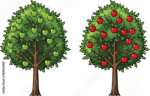 Apple tree vector, green and red apples, fruit tree illustration, orchard design, CAD drawing, flat style, seasonal foliage, nature concept