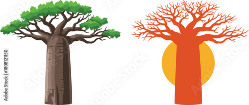 Baobab tree seasonal contrast, green foliage, autumn bare branches, nature vector, environmental concept, cad drawing, flat illustration, sunset background