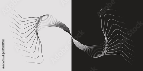 Abstract Gray Wave Lines Gradient Pattern on a Split Black and White Tone