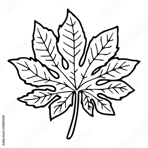 detailed lobed leaf vector outline illustration
