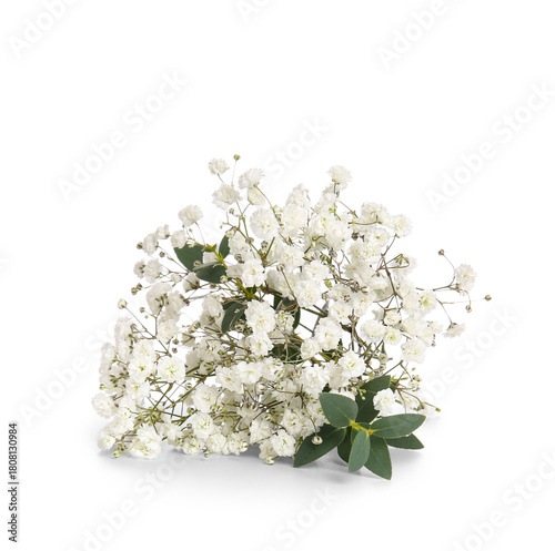 Beautiful gypsophila flower...
