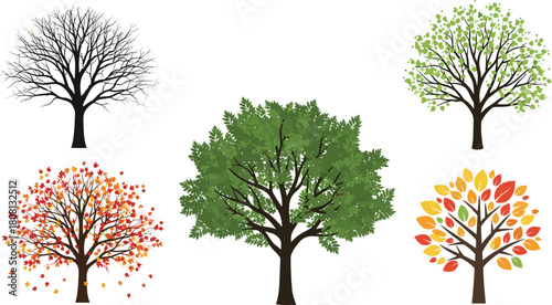 Seasonal tree illustration featuring winter, spring, summer, autumn foliage, black vector set, nature cycle concept, botanical design, climate transition artwork