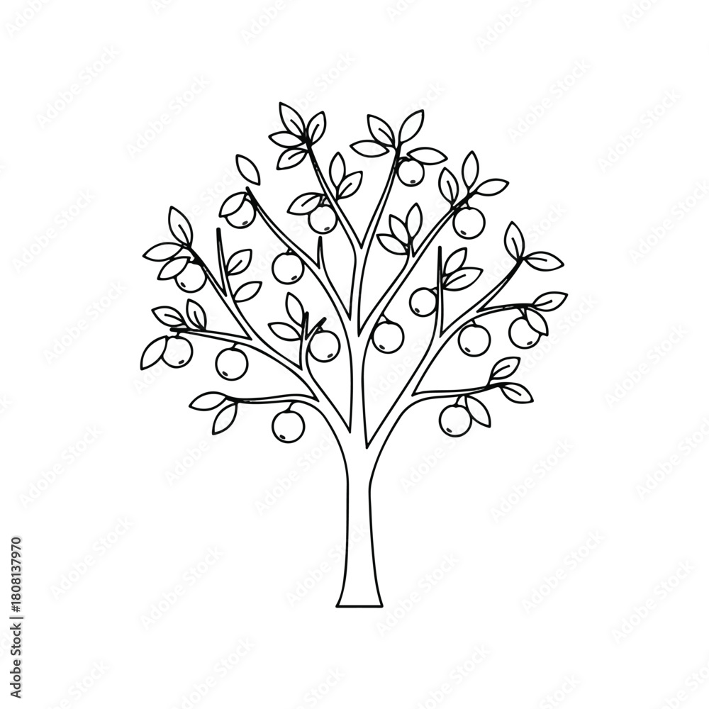 Obraz premium Outline of Apple Tree with Ripe Fruit and Leaves Illustration