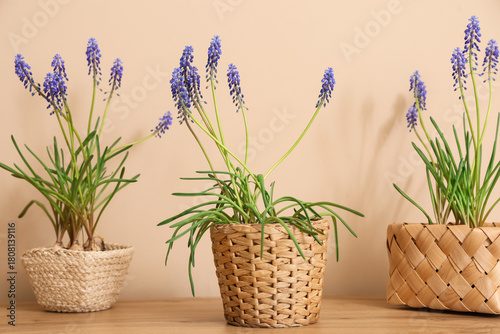 Wicker pots with beautiful ...