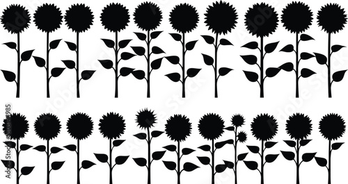 Sunflower silhouette border seamless repeating pattern, botanical floral vector design for decoration, crafts, fabric printing, packaging, garden themed artwork and nature inspired projects