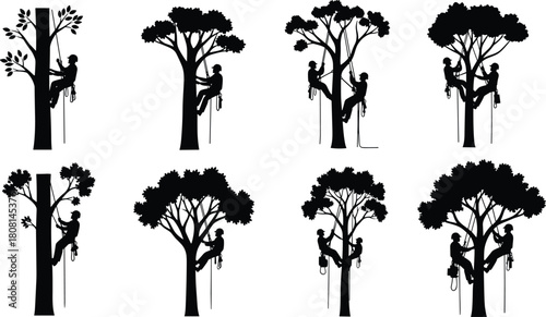 Tree climber arborist silhouettes performing professional rope climbing, pruning, and tree maintenance activities, detailed black vector illustration set for forestry safety and arboriculture training