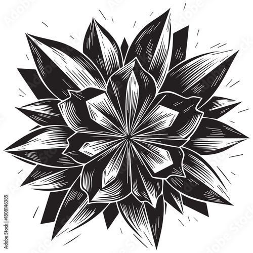 Black and white aster flower engraving with radiating lines