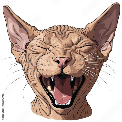 Sphynx Cat Illustration Hilarious Face, Open Mouth, and Expressive Eyes, Digital Art