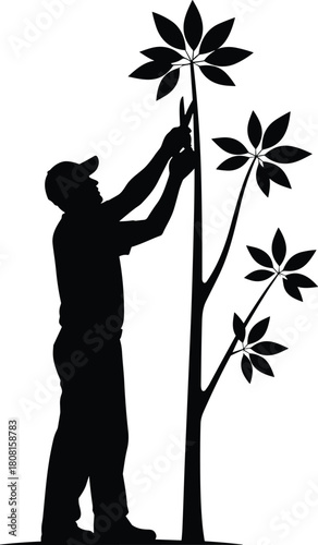 Silhouette vector illustration of a gardener pruning a tall plant, outdoor agriculture worker trimming branches, landscaping maintenance concept for farming and horticulture design