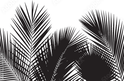 Stylized tropical palm frond silhouettes on a white background.