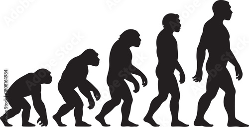 Silhouette of theory of evolution of man