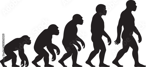 Silhouette of theory of evolution of man