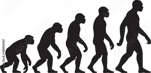 Silhouette of theory of evolution of man