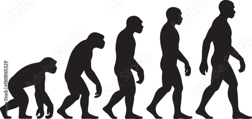 Silhouette of theory of evolution of man