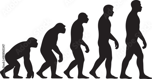 Silhouette of theory of evolution of man
