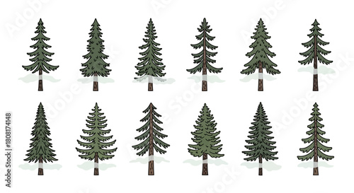 Collection of stylized evergreen trees with varying shapes and shades of green.