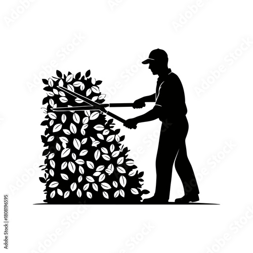 Man Trimming Bush with Shears silhouette Vector