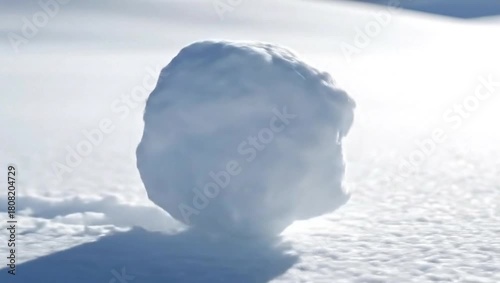 Snowball Rolling and Growing in Fresh Snow on a Sunny Winter Day.