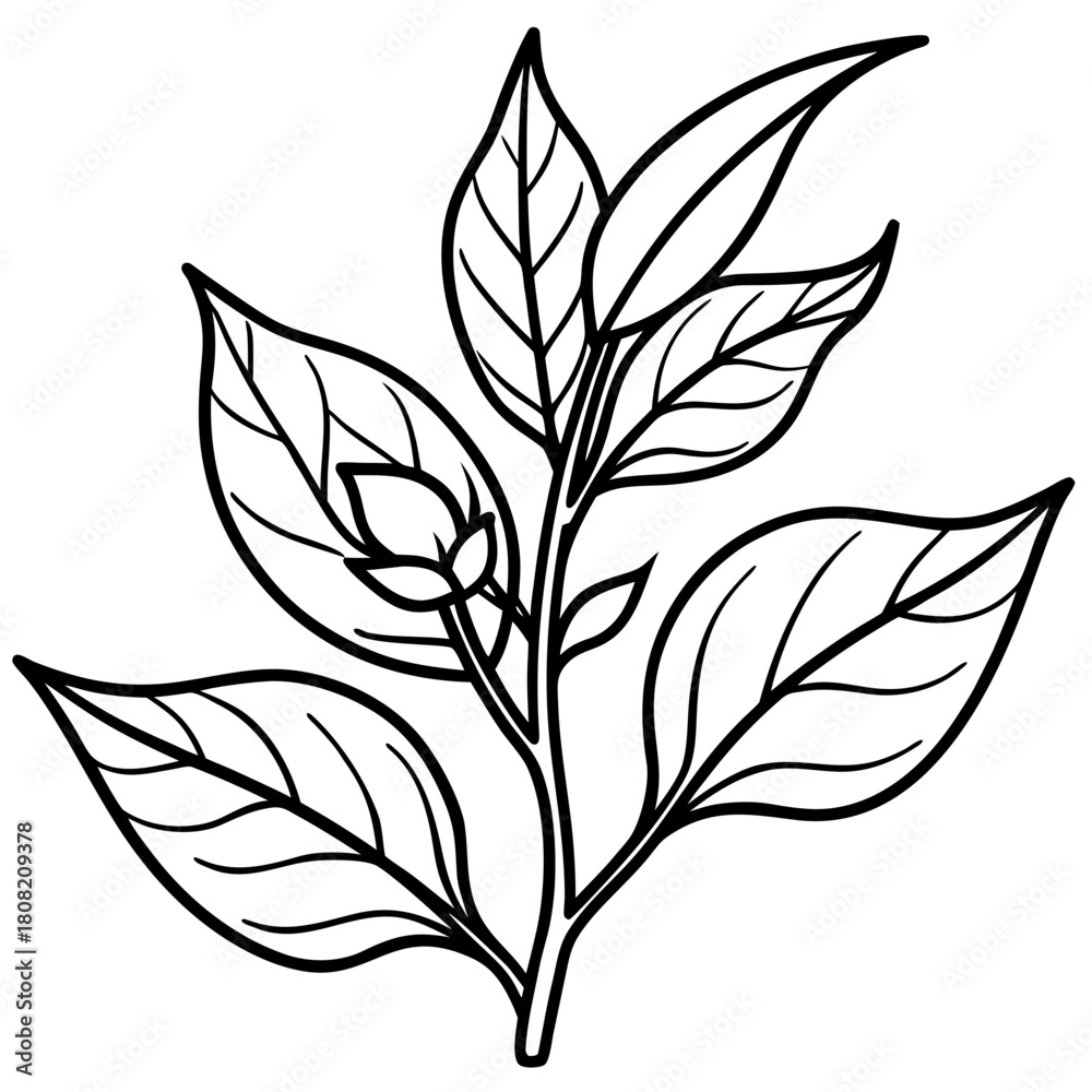 Fototapeta premium Illustration of a leafy branch with a small bud isolated on