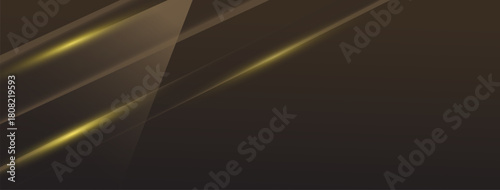 Abstract Gold Lines  Elegant Modern Business Background