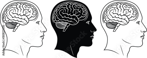 Human Head Profile with Brain Inside Vector Illustration; Side View Silhouette and Outline of Mental Health, Psychology, Anatomy, and Intelligence Concept