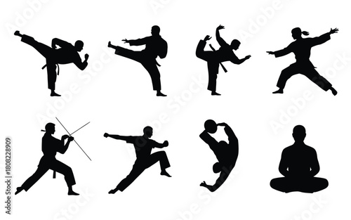 Martial artists performing various combat and meditative poses martial arts karate