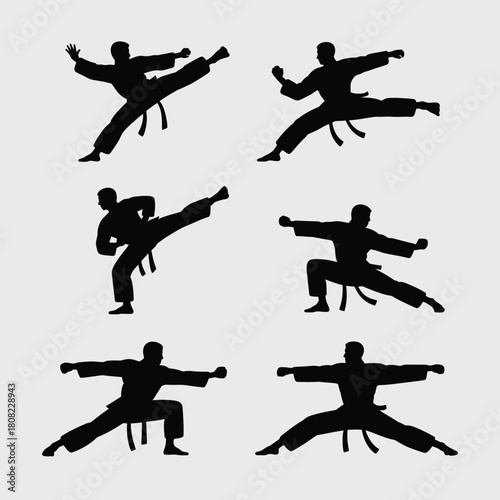 Martial artists performing dynamic kicks and stances karate martial arts