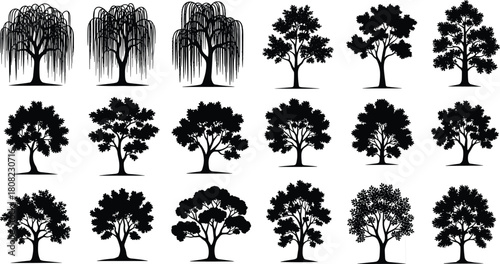 Collection of black tree silhouettes on white background, nature forest set, vector illustration isolated objects for landscape design, ecology environment, and wood icons bundle