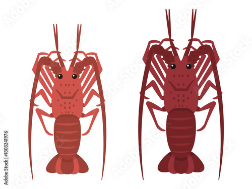 縁起の良い高級食材 伊勢海老のシンプルなベクターイラスト