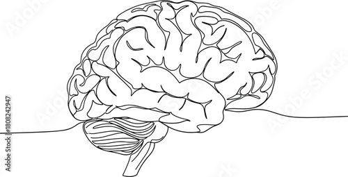 Continuous line drawing of human brain, minimalist vector illustration for medical design, anatomy symbol, creative mind concept, one line art sketch, intelligence logo