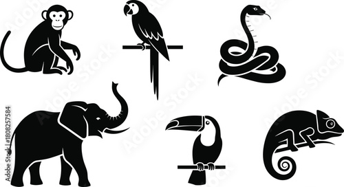 Silhouette of wild jungle animals including monkey, elephant, parrot, snake, toucan, and chameleon, tropical wildlife nature concept, vector illustration design background