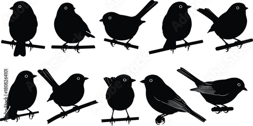 Set of cute bird silhouettes perched on twigs, black vector sparrows and robins isolated on white background for garden nature design and logo art