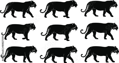 Silhouette of walking tiger, black wild cat vector illustration, predatory animal icon on white background, jungle safari mammal, big feline logo, nature zoo art