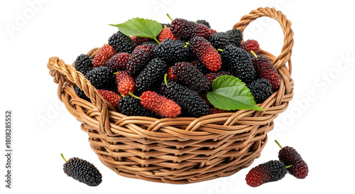 Freshly Harvested Mulberries in a Wicker Basket - A Delicious and Nutritious Fruit