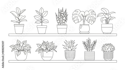 Collection of Line Art Houseplants on Shelves Indoor Garden Decorative Elements for Homes