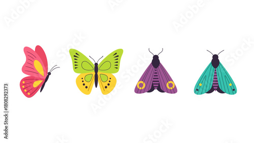 Collection of four stylized butterflies and moths in various vibrant colors and patterns