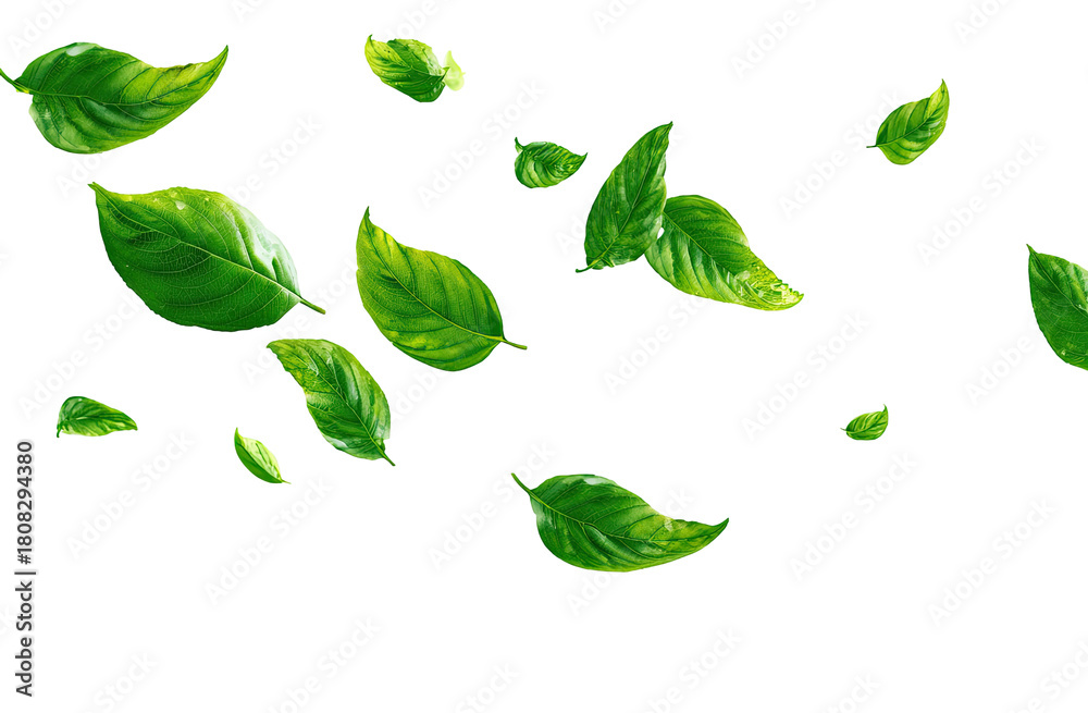 Naklejka premium Green leaves falling, digital art