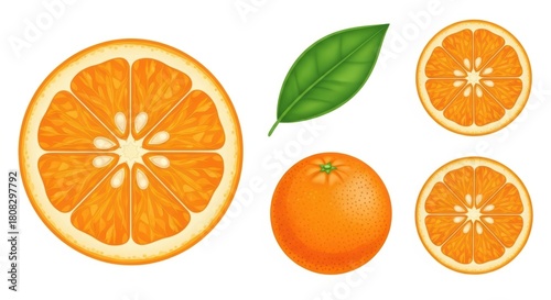 Vibrant Orange Fruit and Slices Collection, Citrus, Juicy, Fresh