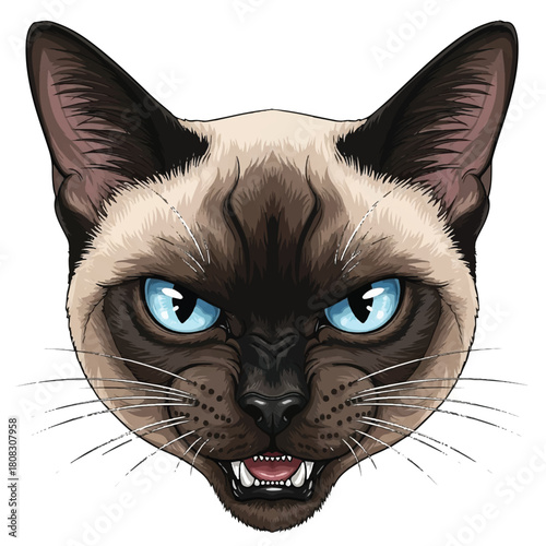 Captivating Vector Art of a Siamese Cat Head, Expressing Fierce Determination with Striking Blue Eyes and a Menacing Snarl
