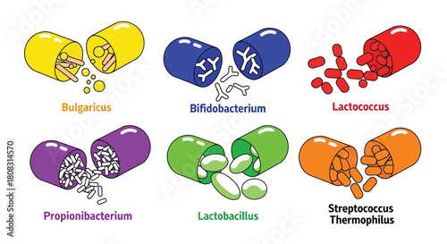 Probiotic supplements capsules with different bacteria strains types