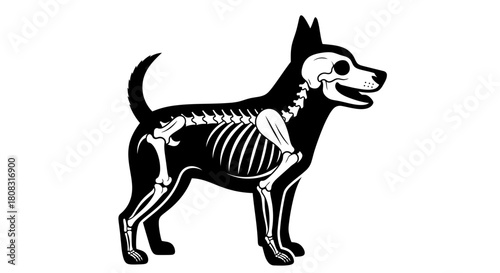 Dog skeleton illustration vector image for halloween themed design